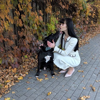 Дзен кинолог