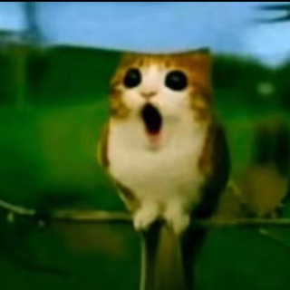 Помощь С Домашкой🤙