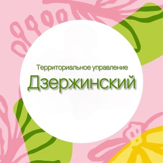 Территориальное управление Дзержинский