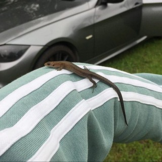 BMW Барахолка БМВ Е90-93