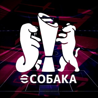 eSobaka Турниры