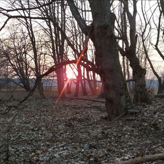 Вещает Восточная Пруссия