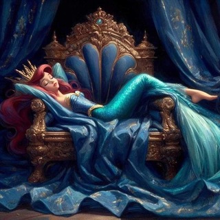 Ещё одну страницу и спать 🦦