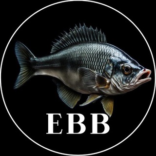 Ebb Club | мафия Новосибирск | ebbclub | еббклаб