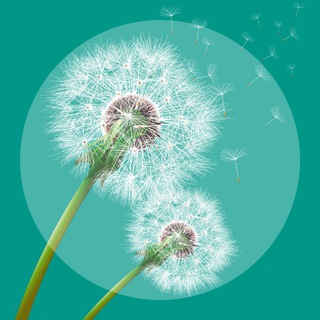 Ледокол эколога | Юлия Кудрявцева