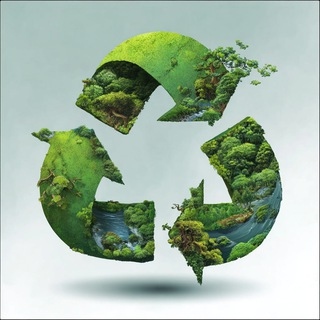 ЭКОномика и ЭКОлогия 🌱