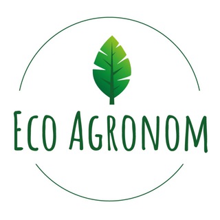 ECO AGRONOM саженцы рассада семена Рязань