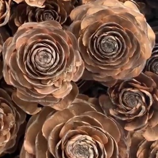 eco.dekor.sochi 🍁