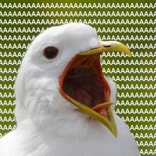 шутки до эКоликов в животе