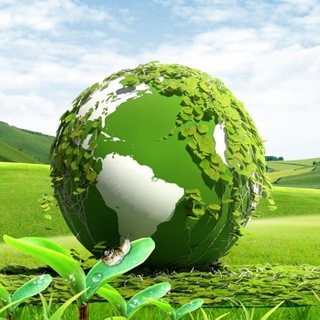 Из города на землю