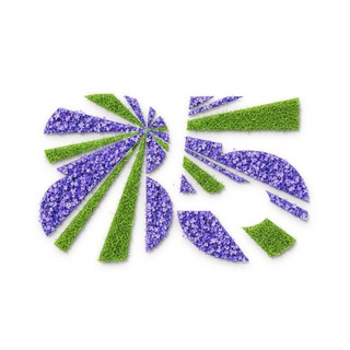 Экономический факультет МГУ им. М. В. Ломоносова