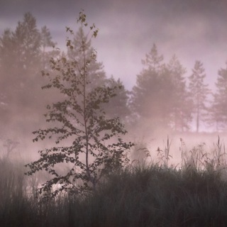 Экопоходы с Михаилом Веревченко.