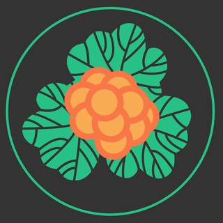 ЭКОПРАКСИЯ