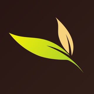 Эко-салон красоты KAJAL