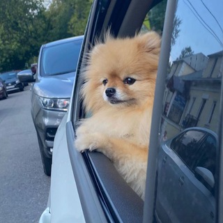 Едем? Едем! 🚘