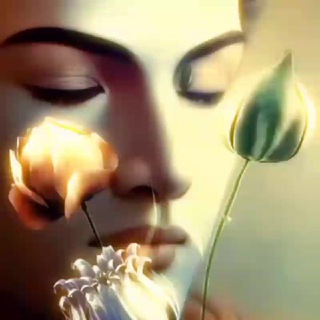 🏝️✨Гиф Эдем✨🏝️