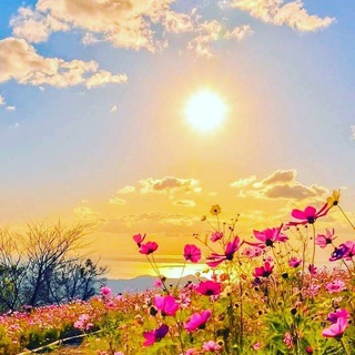 Центр ЗОЛОТОЕ СЕРДЦЕ