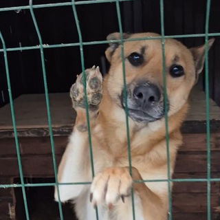 ТЫ ТОЛЬКО ЖИВИ