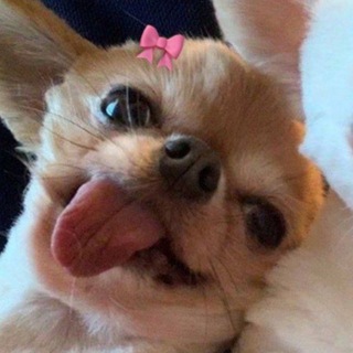 Одобрено мною