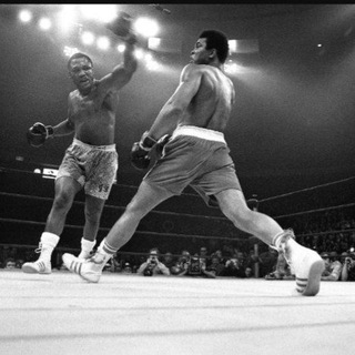 Его Величество Бокс!