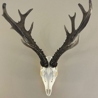 Еланское Охотхозяйство