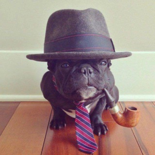 рондоторонто