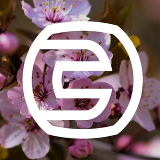 СЭЩ | Новости для сотрудников