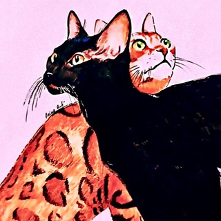 Еlen_bengals | Ласковые бенгальские котята