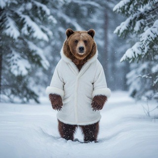 Медведица в белом пальто