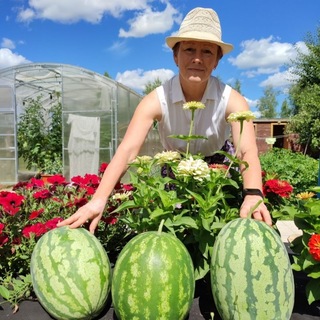 Елена Селиванова