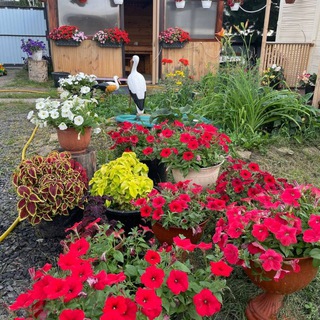 ЕЛЕНА ТУТ🌿