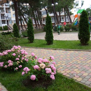 gelenelen- отдых в Геленджике