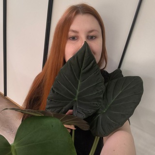 🪴Туня plants🪴