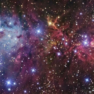 Политмемы для элиты