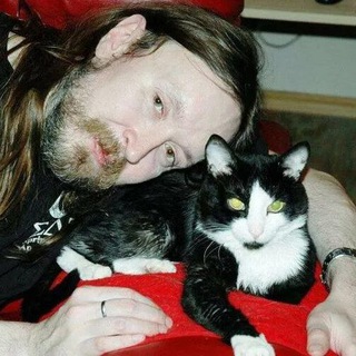 My Cat оказался сильней