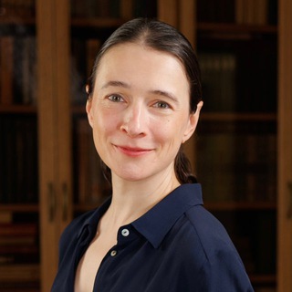 Эмбрион под одеялом