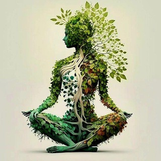 Энциклопе́дия|Здоровье_Еда_Спорт