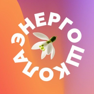 ЭнергоШкола Эн+