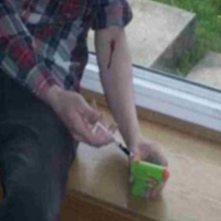 толстыесобачки