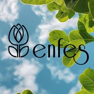 Парфюмерия | ENFES