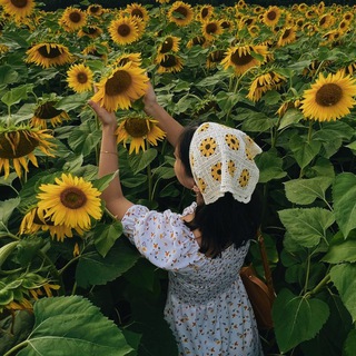 Эрика | Английский и книги