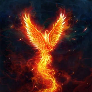 Silaeva team Эннеаграмма, жиза, надежда