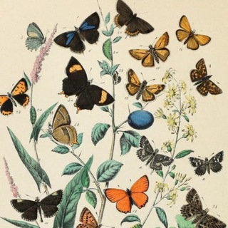 Энтома́рий