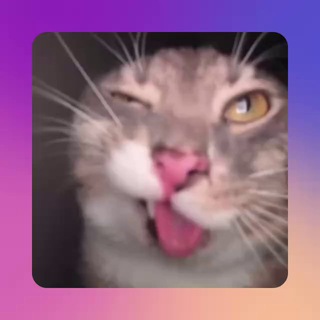 Отзывы KYC SHOP EPIC