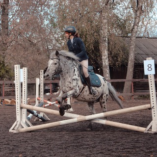 🤍 Eqᥙ ᥲɗjiκᥲ 🐚