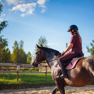 🌷 ЛОШАДИ | КОННЫЙ СПОРТ 🌷