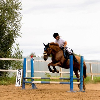 дашкинс 💟🌾архив