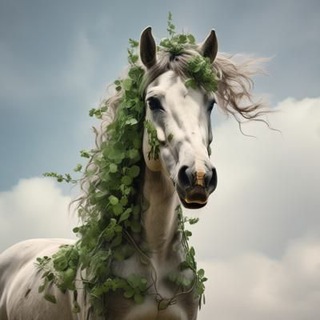 🐎🍀equestrian clever🍀🐎