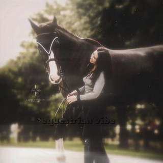 ╰⪼Equestrian vibe︱Конный вайб