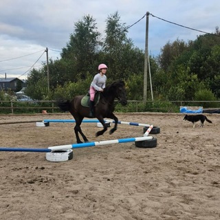 𝐸𝓆𝓊𝒾&𝒮𝑜𝒻𝒶 🌿🪶